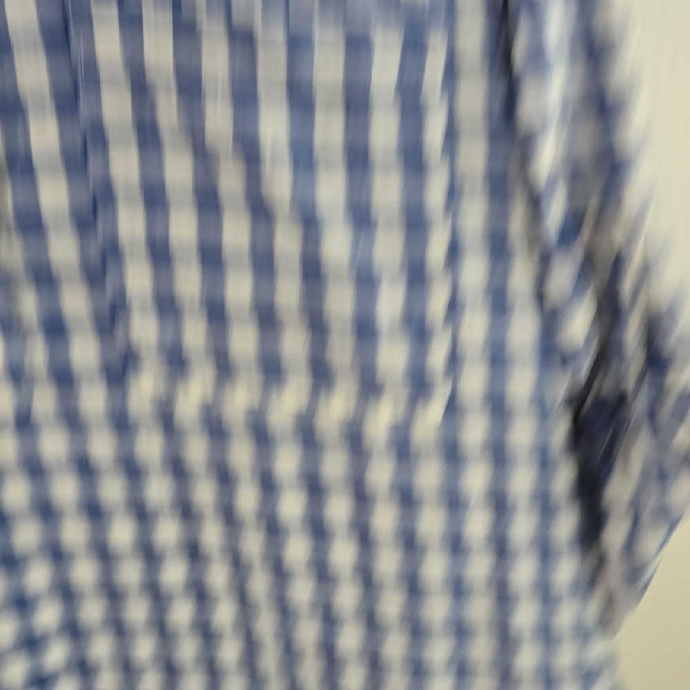 Chico's Blue and White Plaid Shirt - Picture 4 of 6